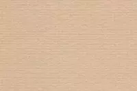 Bugrabutten 103 307 rehbraun