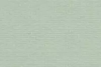 Bugrabutten 103 308 hellgrun