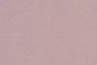 Bugrabutten 103 314 rose